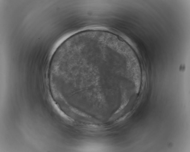 X0000112800959200909181533