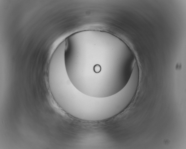 X0000112800960200909181533