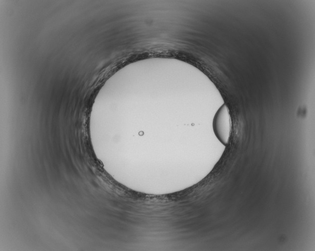 X0000112800964200909181533