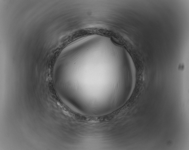 X0000112800965200909181533