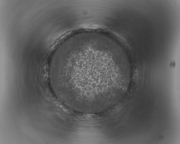 X0000112800966200909181533