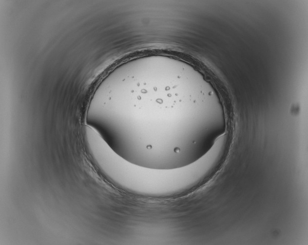 X0000112800969200909181533
