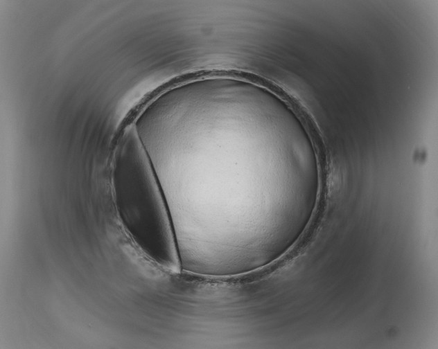 X0000112800973200909181533