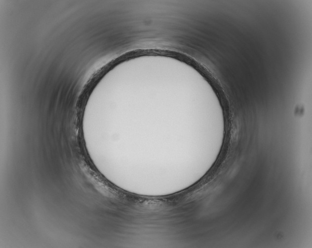 X0000112800974200909181533