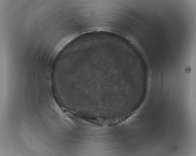 X0000112800977200909181532