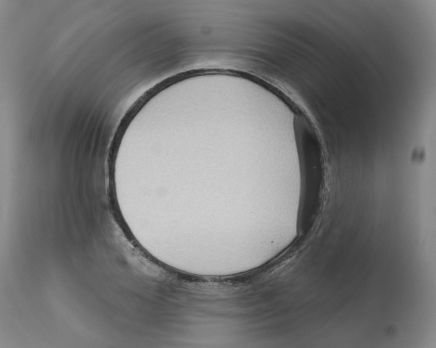 X0000112800980200909181532