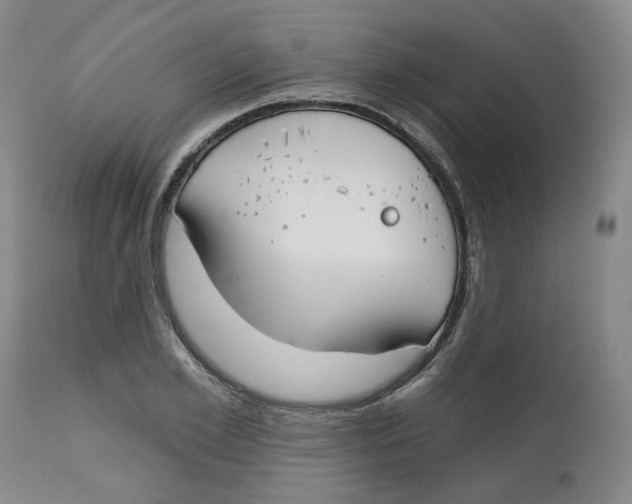 X0000112800981200909181532