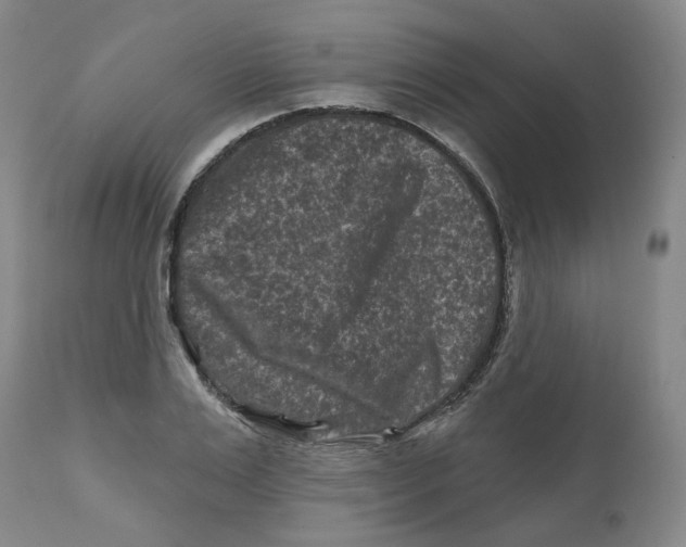 X0000112800983200909181532