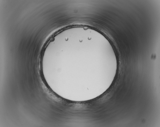 X0000112800984200909181532