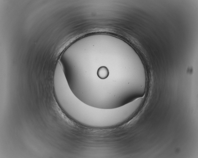 X0000112800985200909181532