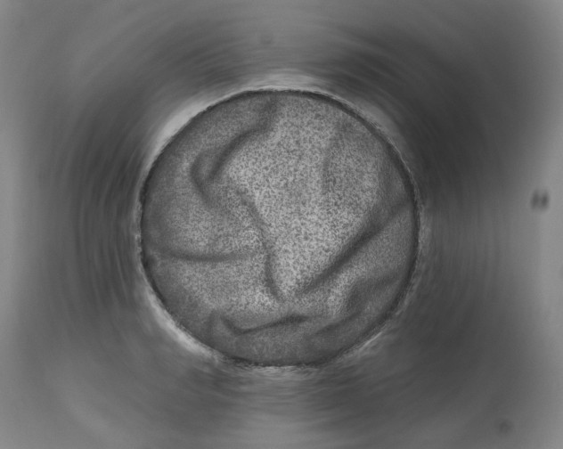 X0000112800990200909181532