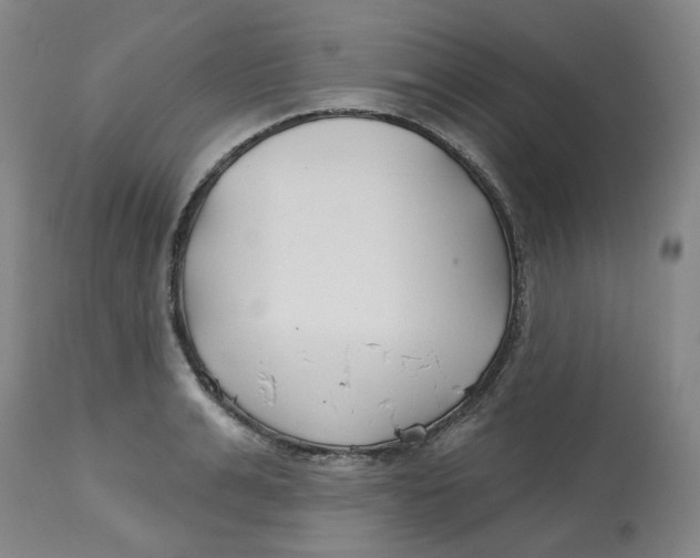 X0000112800991200909181532