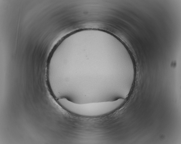 X0000112800992200909181532