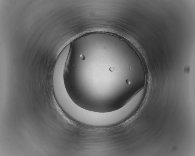 X0000112800993200909181532