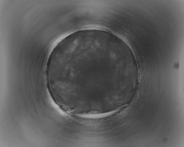 X0000112800995200909181532