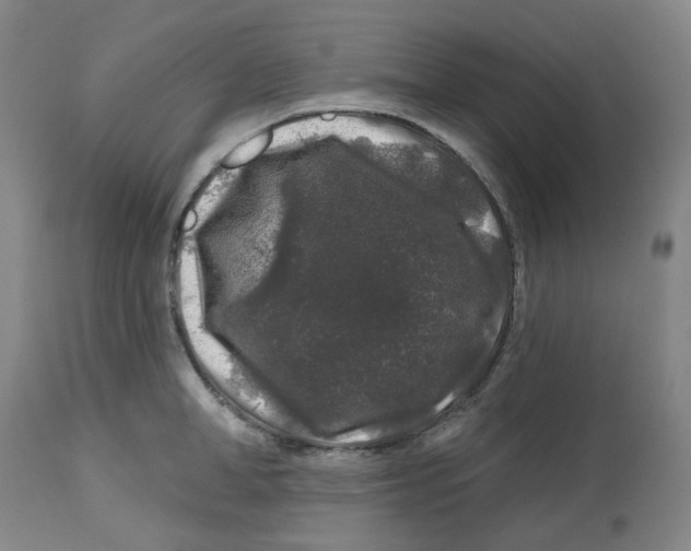 X0000112800998200909181532