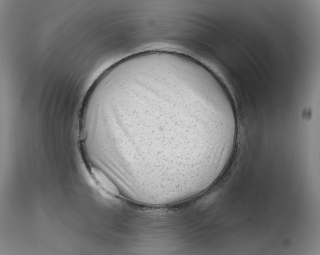 X0000112800999200909181532