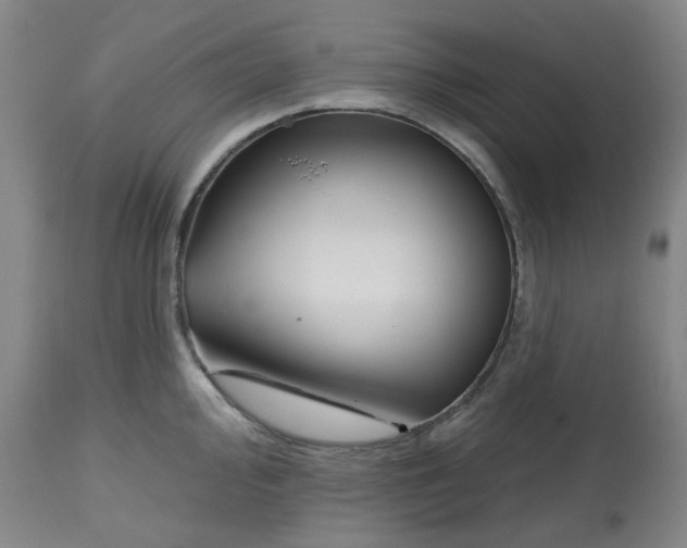 X0000112801000200909181532