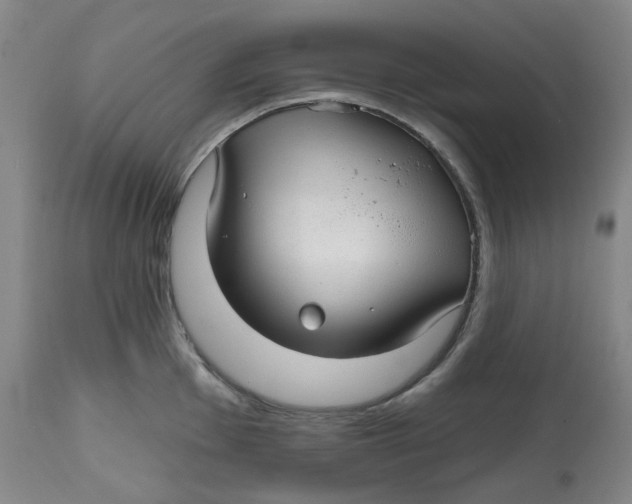 X0000112801001200909181532