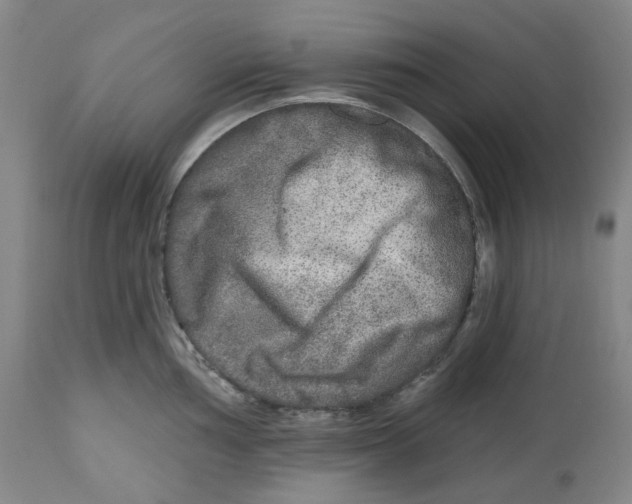 X0000112801002200909181532