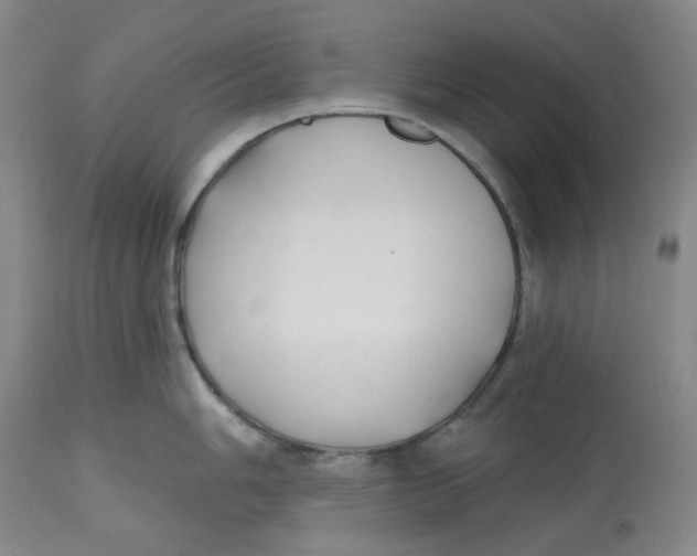 X0000112801006200909181532