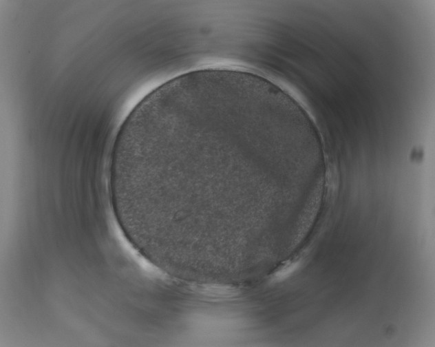 X0000112801007200909181532
