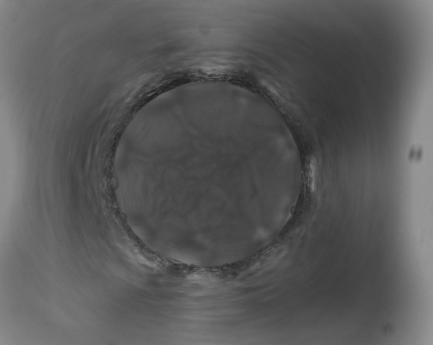 X0000112801009200909181531