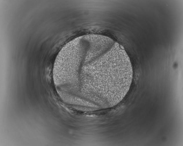 X0000112801010200909181531