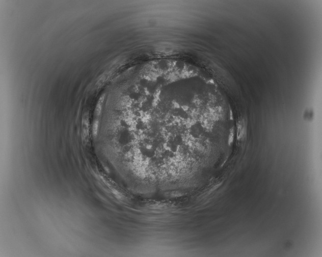 X0000112801011200909181531