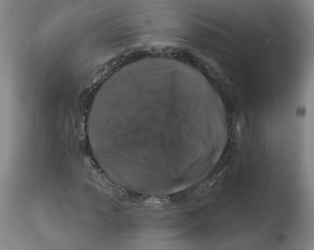 X0000112801013200909181531