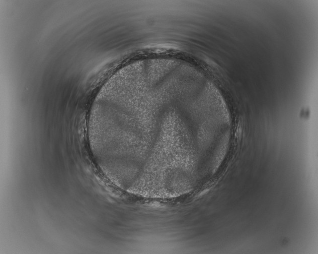 X0000112801014200909181531