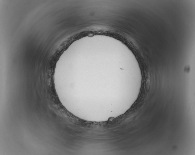 X0000112801016200909181531