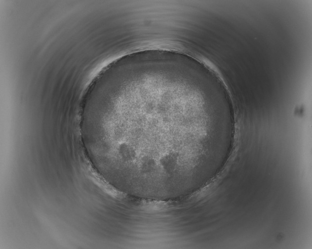 X0000112801019200909181531