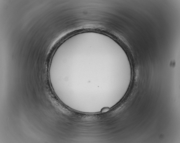X0000112801021200909181531