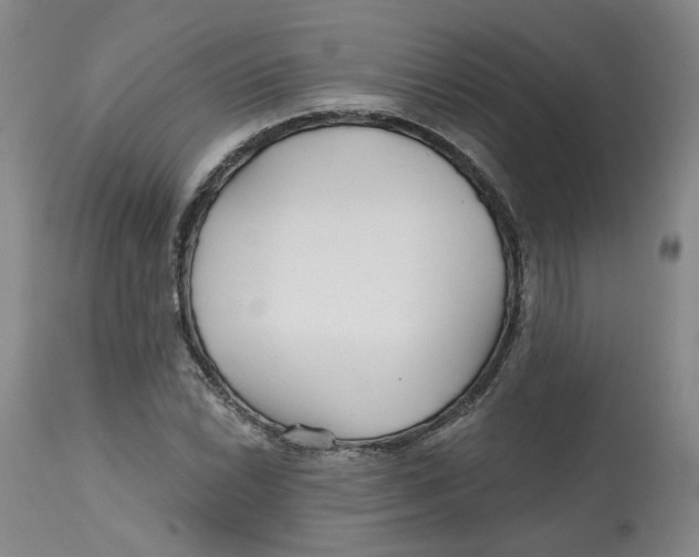 X0000112801022200909181531