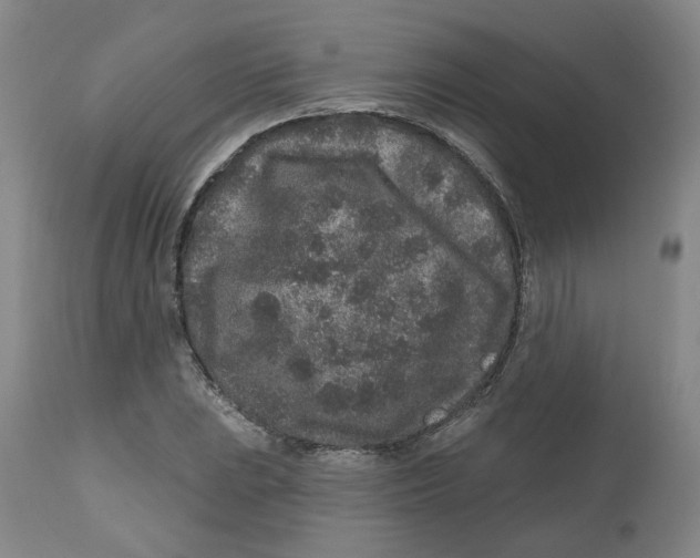 X0000112801023200909181531