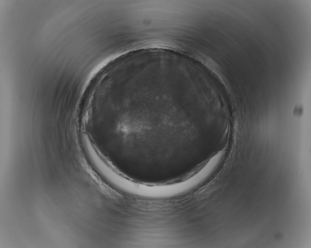 X0000112801024200909181531