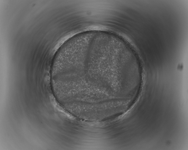 X0000112801025200909181531