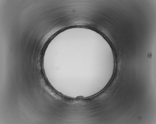 X0000112801026200909181531