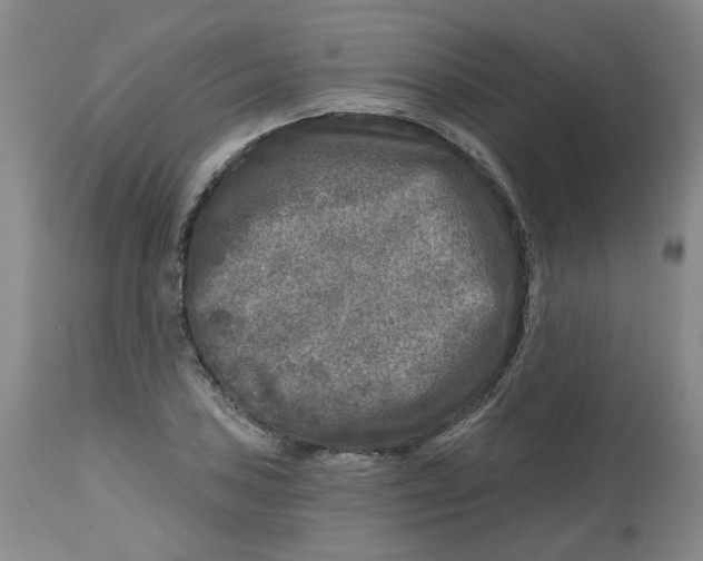 X0000112801027200909181531