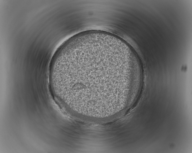 X0000112801028200909181531