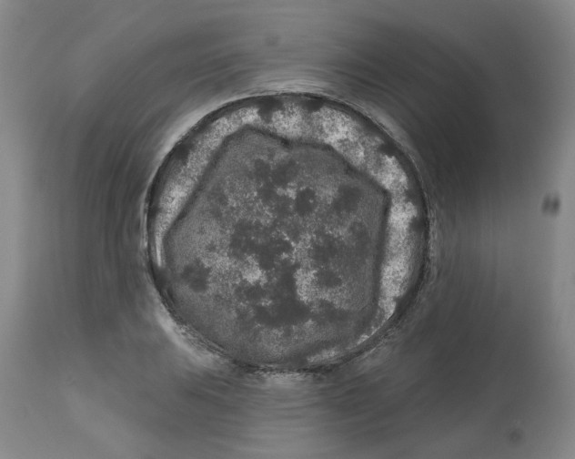 X0000112801031200909181532