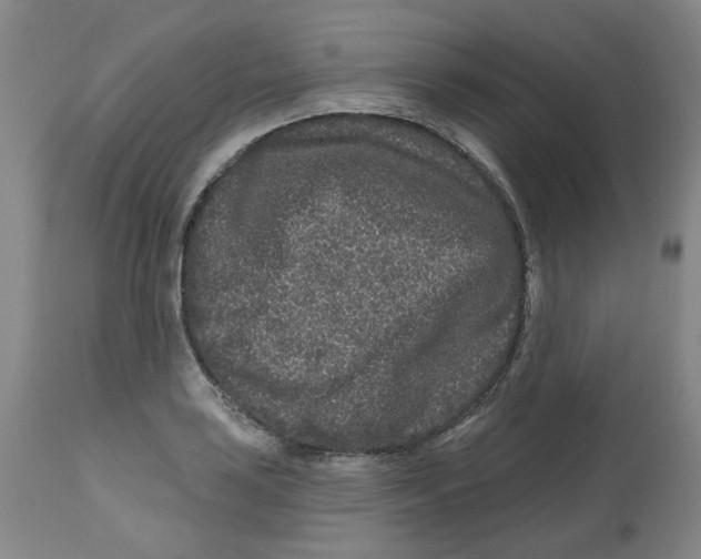 X0000112801035200909181532
