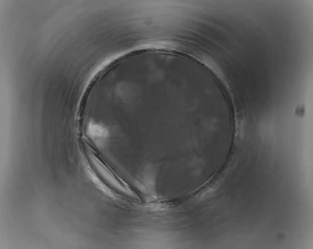 X0000112801037200909181532