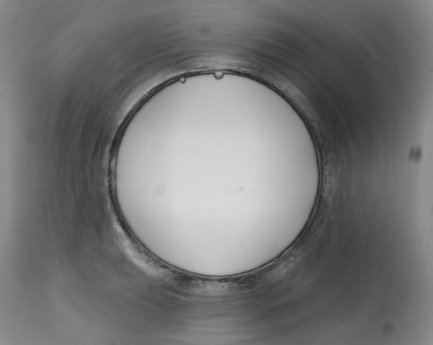 X0000112801039200909181532
