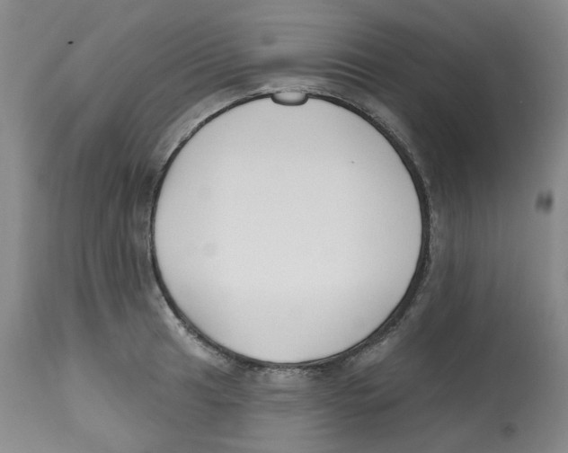 X0000112801041200909181532