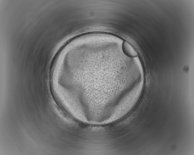 X0000112801043200909181532