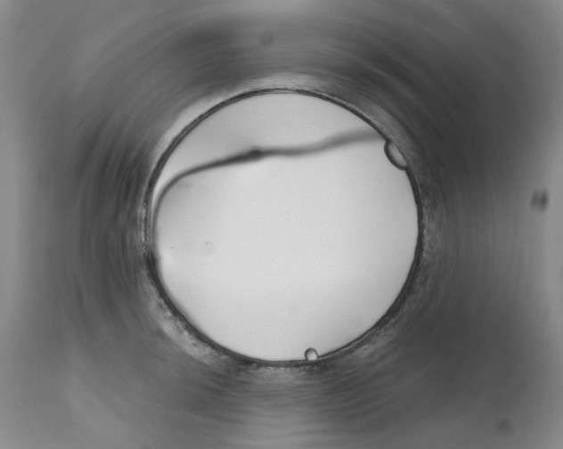 X0000112801044200909181532