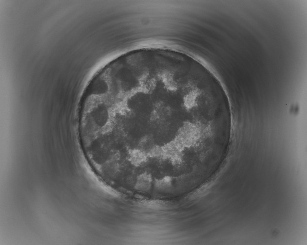 X0000112801045200909181532