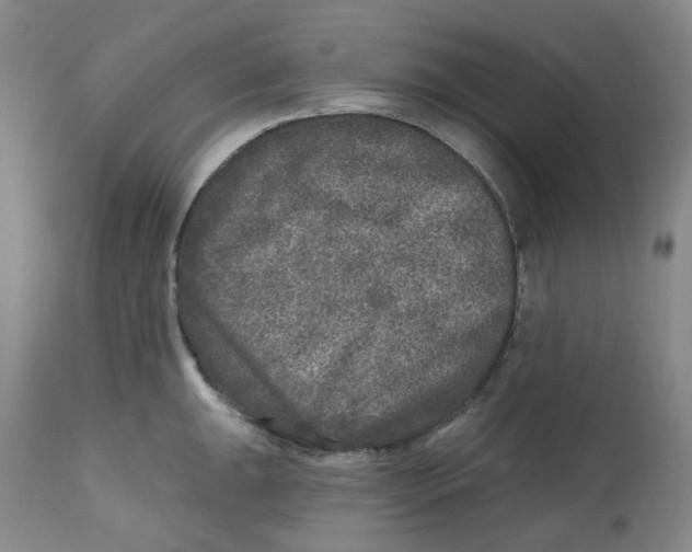 X0000112801047200909181532